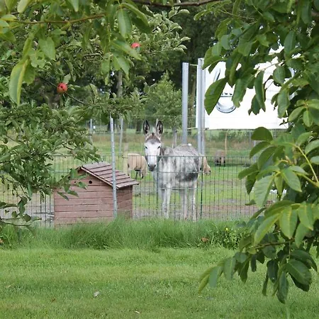 Lägenhet Balzwiekje Auszeit Auf Pferdehof In Ostfriesland Ihlow (Aurich)