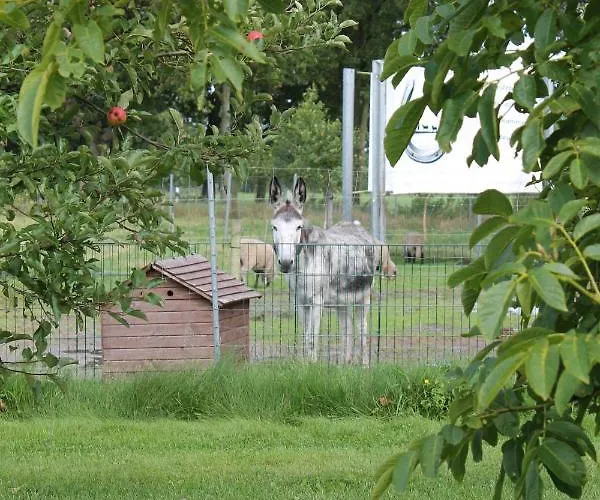 Appartement Balzwiekje Auszeit Auf Pferdehof In Ostfriesland Ihlow (Aurich)